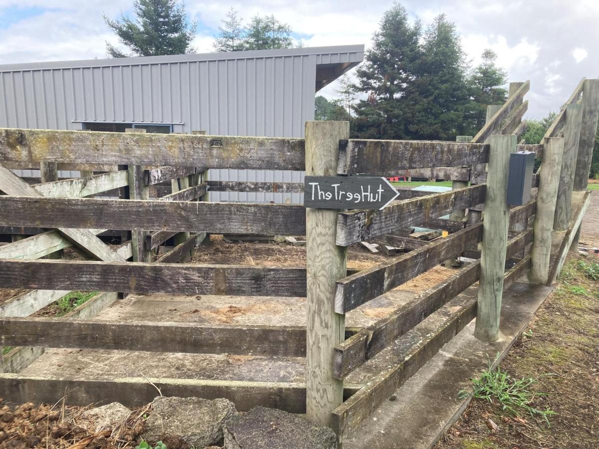 The Treehut Villa Ohauiti Exterior photo